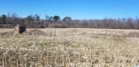 1787 County Road 62, Section, AL 35771 photo 13