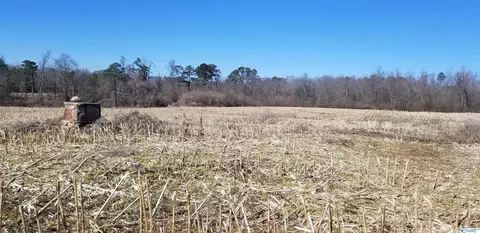 1787 County Road 62, Section, AL 35771 photo 12
