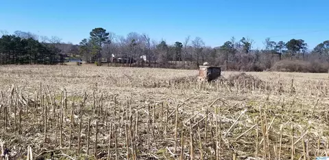 1787 County Road 62, Section, AL 35771 photo 10