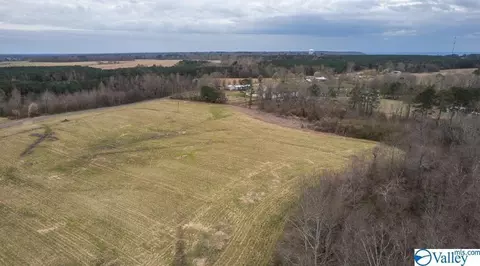 1787 County Road 62, Section, AL 35771 photo 5