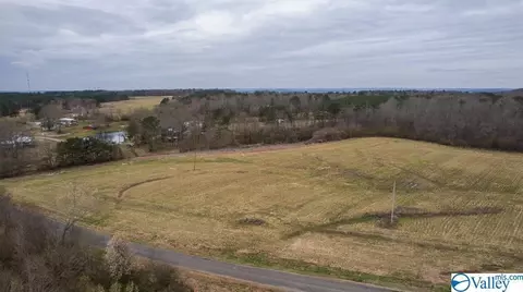 1787 County Road 62, Section, AL 35771 photo 8