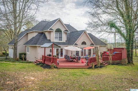 3885 E Upper River Rd, Somerville, AL 35670 photo 28