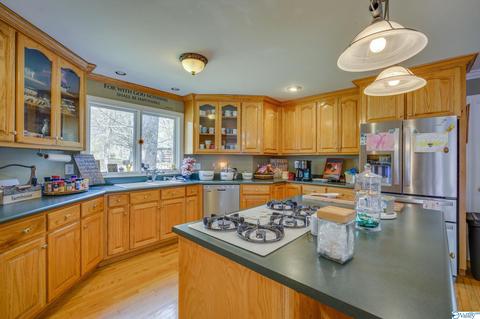 3885 E Upper River Rd, Somerville, AL 35670 photo 10