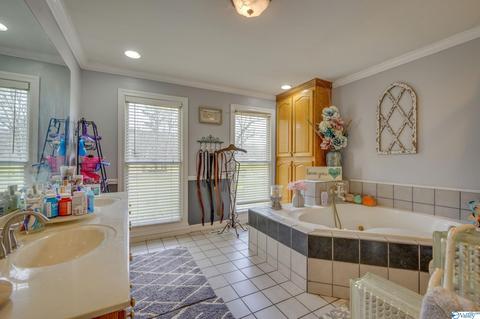 3885 E Upper River Rd, Somerville, AL 35670 photo 15