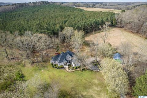 3885 E Upper River Rd, Somerville, AL 35670 photo 33