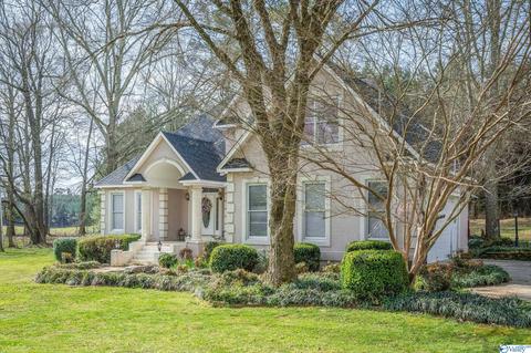 3885 E Upper River Rd, Somerville, AL 35670 photo 2