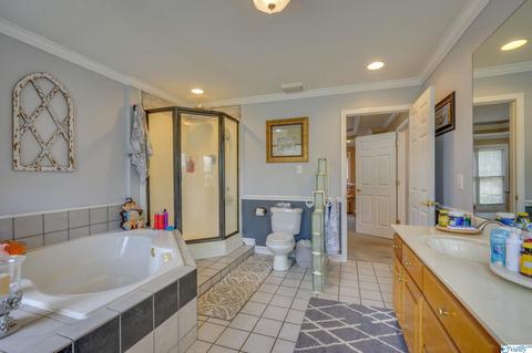 3885 E Upper River Rd, Somerville, AL 35670 photo 16