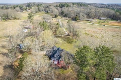 3885 E Upper River Rd, Somerville, AL 35670 photo 34