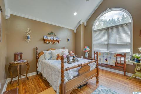 3885 E Upper River Rd, Somerville, AL 35670 photo 21