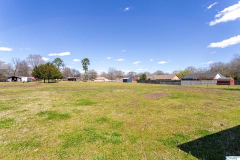 29 Clayton Ave, Trinity, AL 35673 photo 10