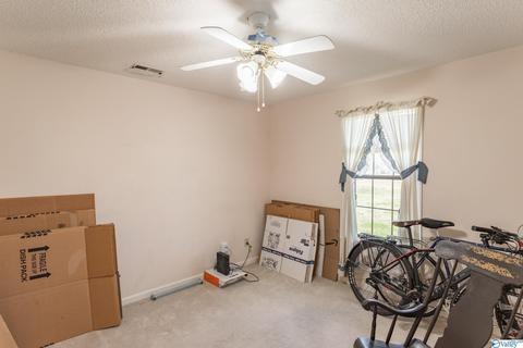 29 Clayton Ave, Trinity, AL 35673 photo 24