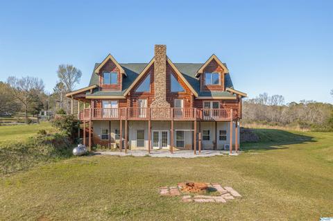 456 Spring Rd, Ohatchee, AL 36271 photo 29