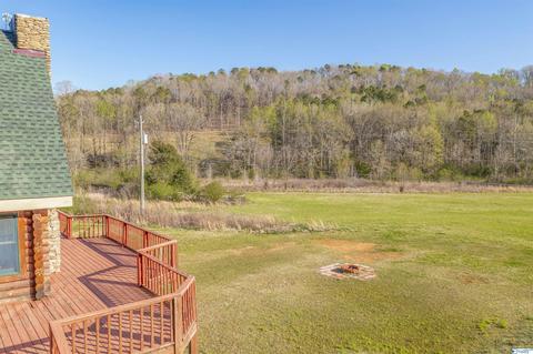 456 Spring Rd, Ohatchee, AL 36271 photo 28