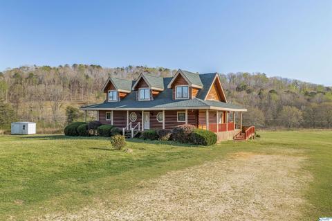 456 Spring Rd, Ohatchee, AL 36271 photo 1