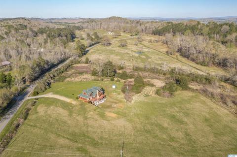 456 Spring Rd, Ohatchee, AL 36271 photo 26