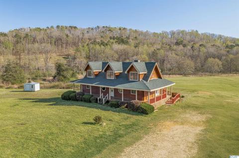 456 Spring Rd, Ohatchee, AL 36271 photo 35