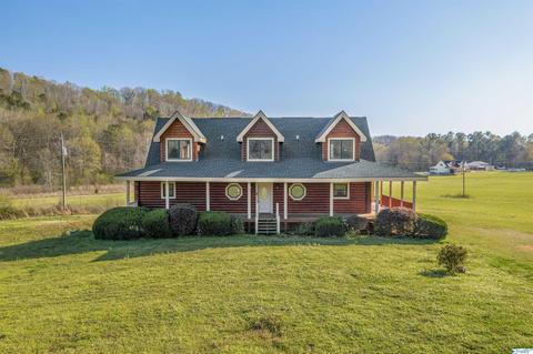 456 Spring Rd, Ohatchee, AL 36271 photo 37