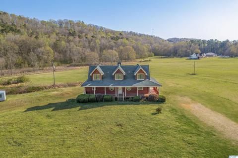 456 Spring Rd, Ohatchee, AL 36271 photo 34