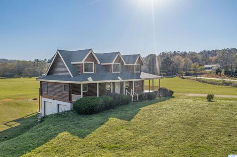 456 Spring Rd, Ohatchee, AL 36271 photo 36