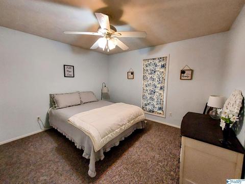 435 Cobb Rd, Ohatchee, AL 36271 photo 18