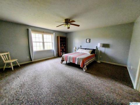 435 Cobb Rd, Ohatchee, AL 36271 photo 16