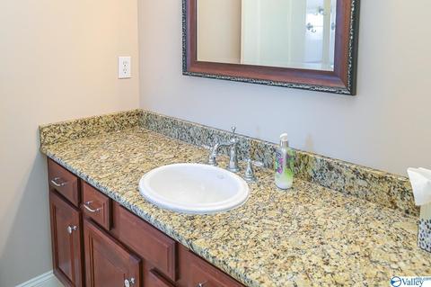 128 Appleton Ln, Madison, AL 35756 photo 32