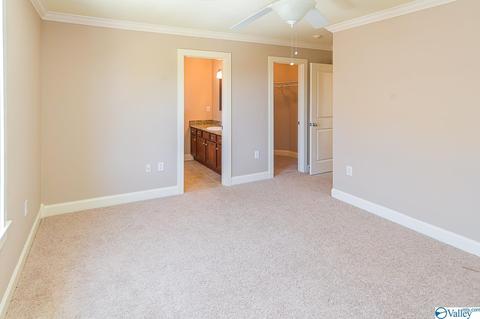 128 Appleton Ln, Madison, AL 35756 photo 33