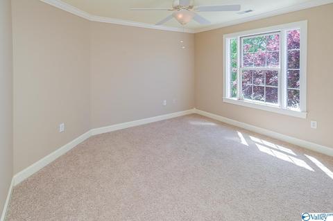 128 Appleton Ln, Madison, AL 35756 photo 38