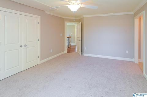 128 Appleton Ln, Madison, AL 35756 photo 27