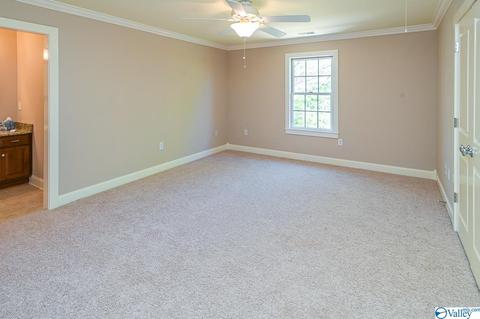 128 Appleton Ln, Madison, AL 35756 photo 30
