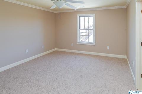 128 Appleton Ln, Madison, AL 35756 photo 35