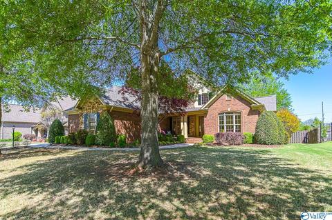 128 Appleton Ln, Madison, AL 35756 photo 1