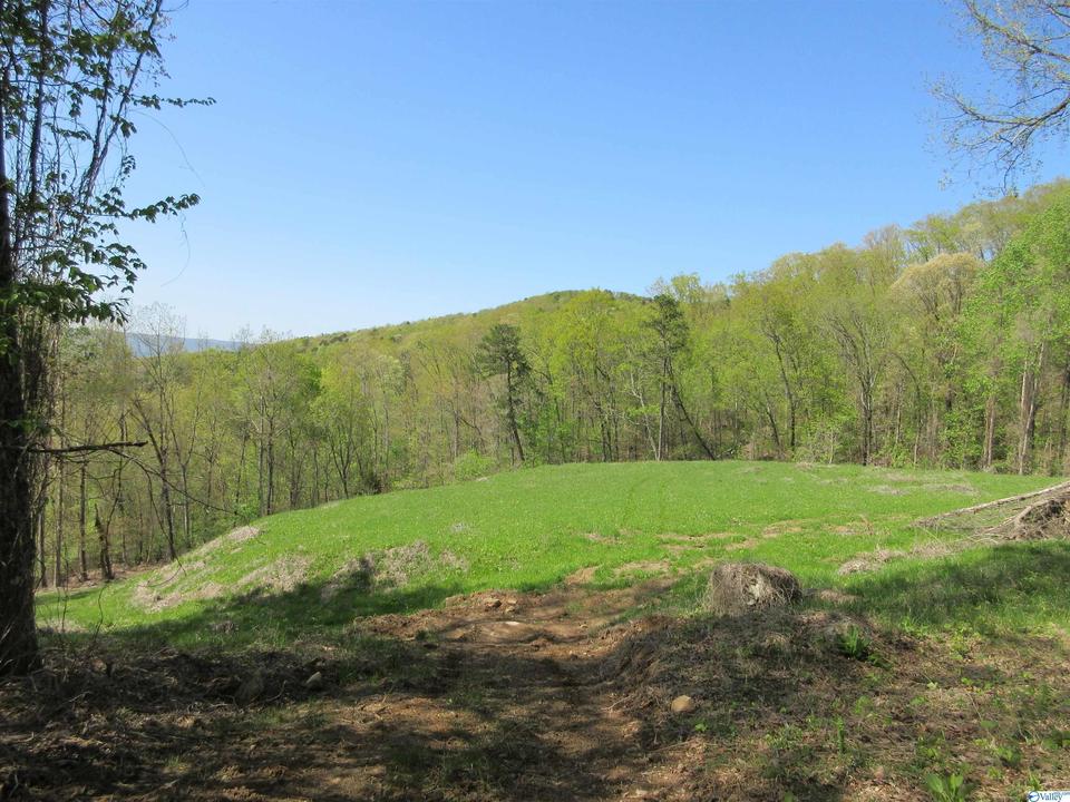 44 Highway 117, Flat Rock, AL 35966 24 Photos MLS 1806066 Movoto