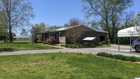 1421 County Road 62, Section, AL 35771 photo 1