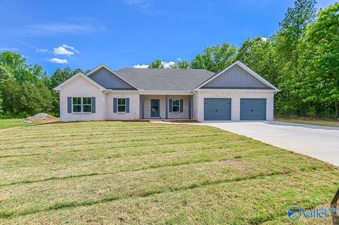 152 Hawthorn Way, Trinity, AL 35673 photo 41