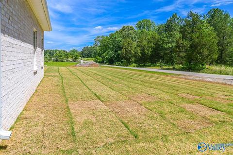 152 Hawthorn Way, Trinity, AL 35673 photo 35