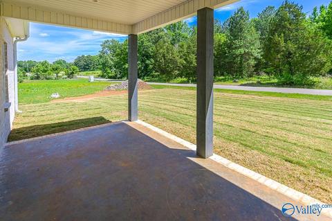 152 Hawthorn Way, Trinity, AL 35673 photo 40