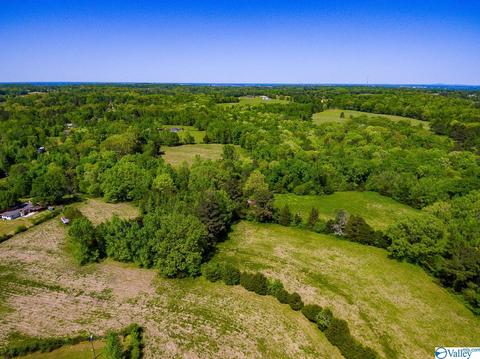 898 County Road 358, Trinity, AL 35673 photo 14