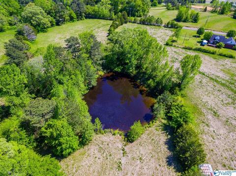 898 County Road 358, Trinity, AL 35673 photo 10