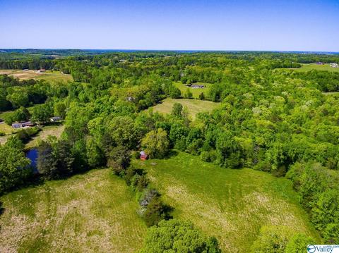898 County Road 358, Trinity, AL 35673 photo 18