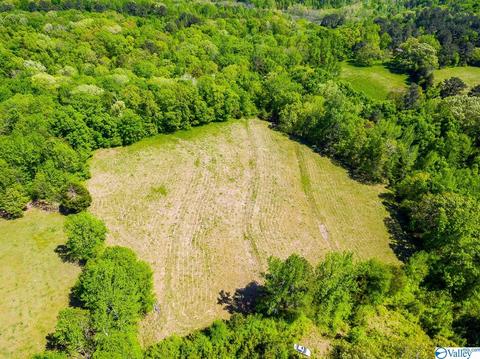 898 County Road 358, Trinity, AL 35673 photo 30