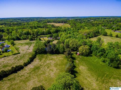 898 County Road 358, Trinity, AL 35673 photo 19