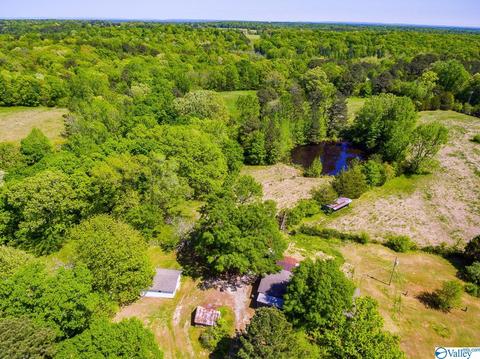 898 County Road 358, Trinity, AL 35673 photo 8