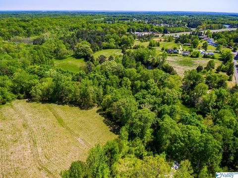 898 County Road 358, Trinity, AL 35673 photo 31
