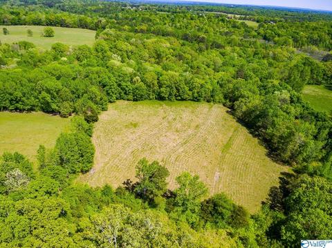 898 County Road 358, Trinity, AL 35673 photo 29