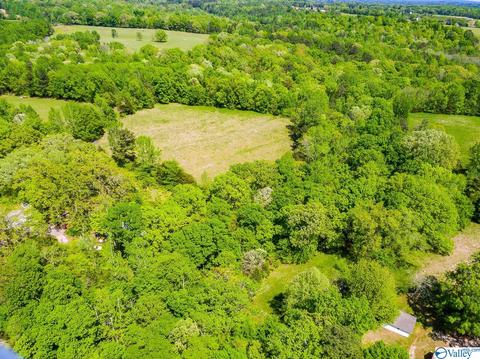898 County Road 358, Trinity, AL 35673 photo 27
