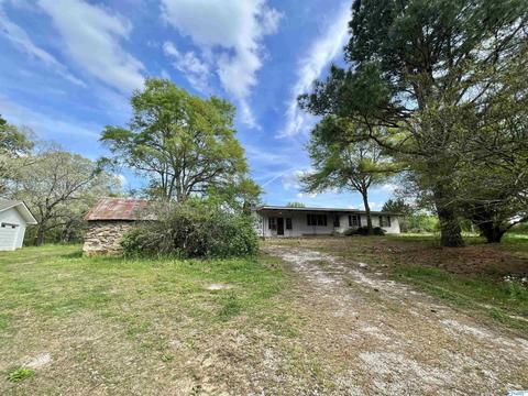 898 County Road 358, Trinity, AL 35673 photo 1