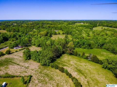 898 County Road 358, Trinity, AL 35673 photo 15