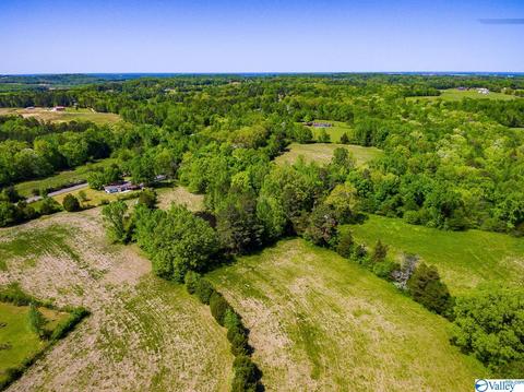 898 County Road 358, Trinity, AL 35673 photo 16