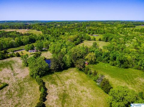 898 County Road 358, Trinity, AL 35673 photo 17